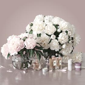 Peonies 2 3D